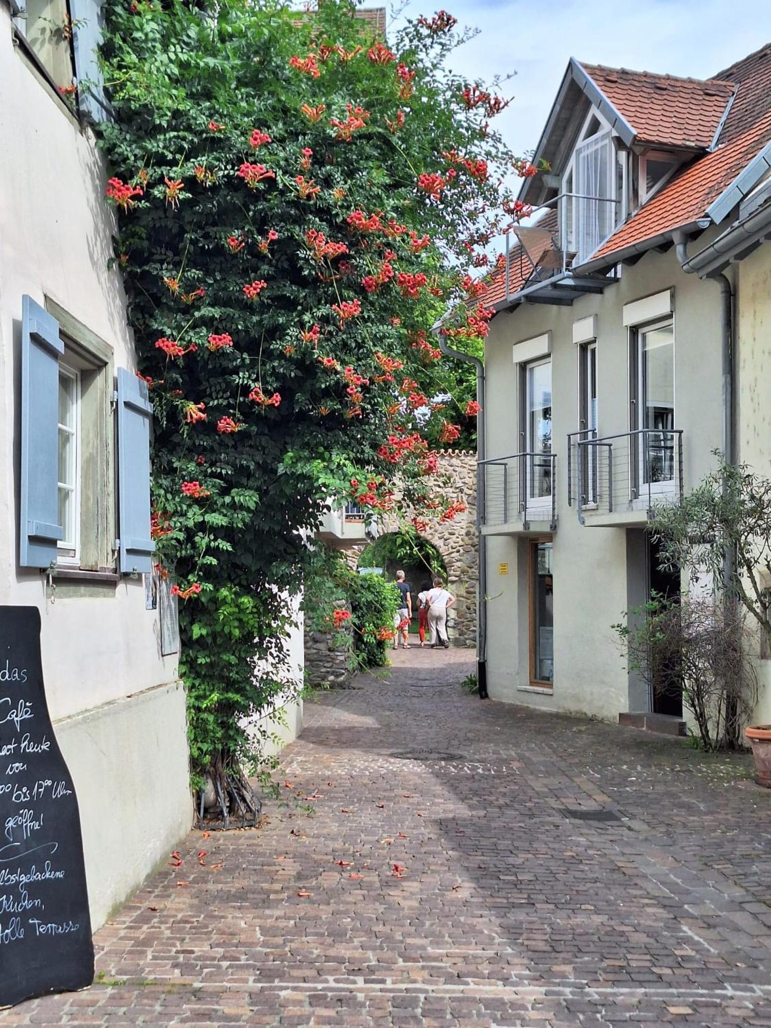 Ferienwohnung Ueberblick 라돌프젤암보덴시 외부 사진